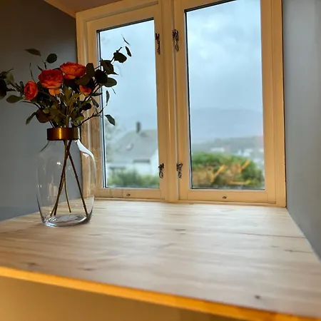 New Beautiful Flat, Parking! Daire Bergen